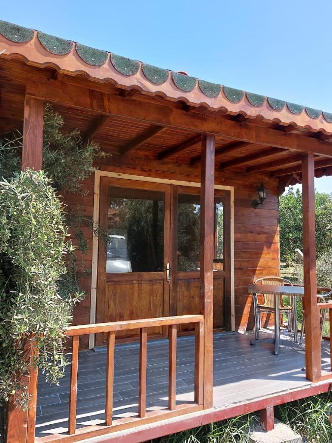 Tatil Evi Olive Garden Bungalow