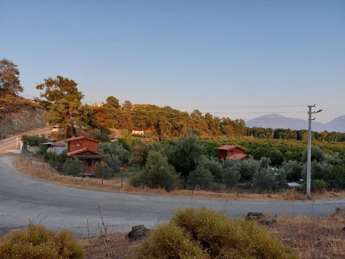 Vakantiehuis Olive Garden Bungalow Fethiye