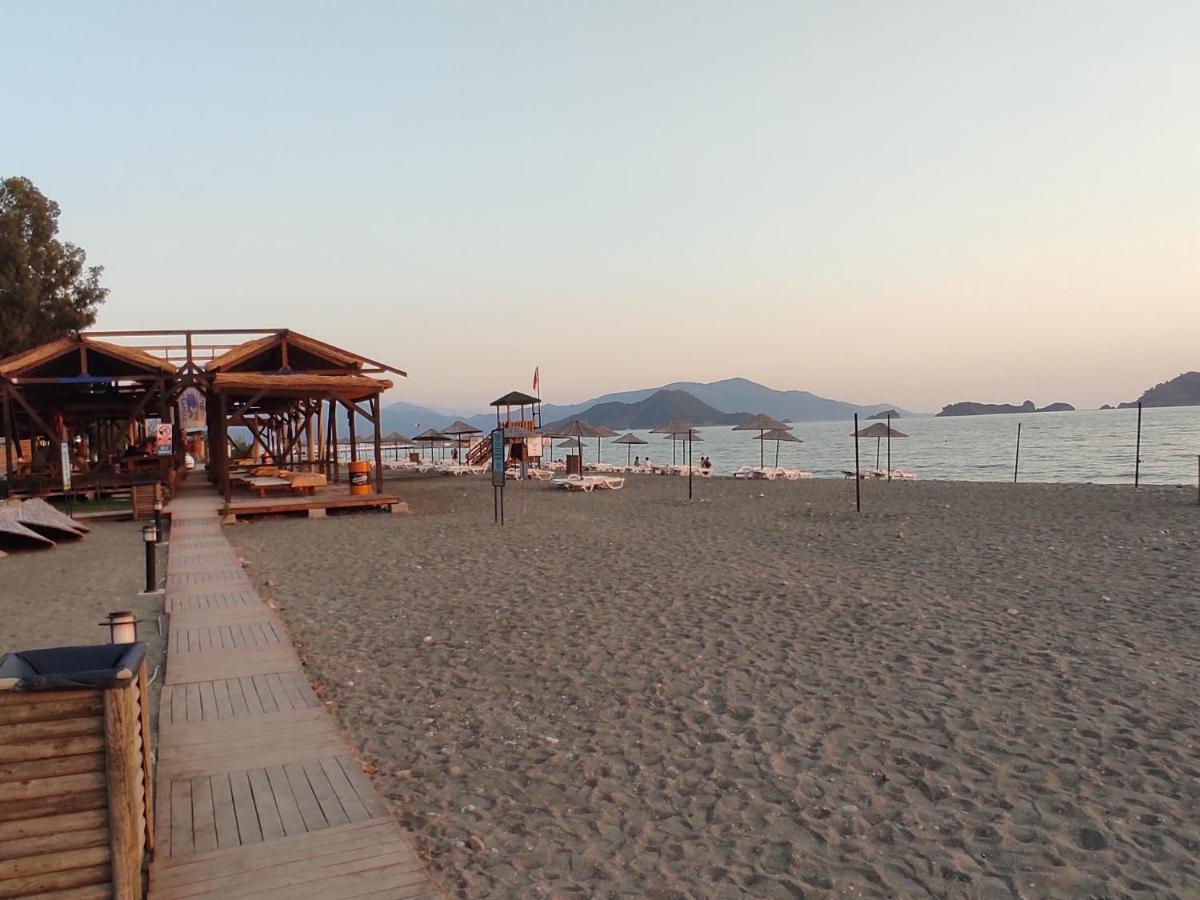 Olive Garden Bungalow Tatil Evi
