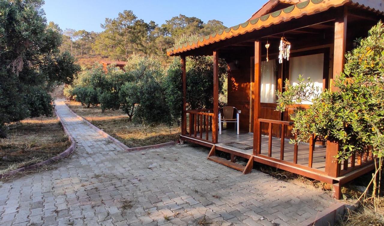Olive Garden Bungalow Tatil Evi *
